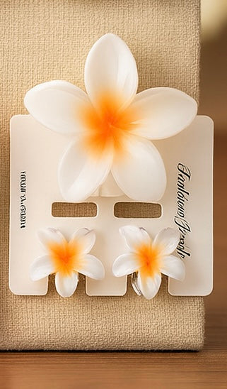 Pinces à cheveux brillantes fleurs